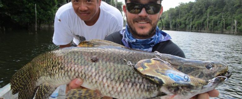 Voyage de pêche en Guyane Française 2015