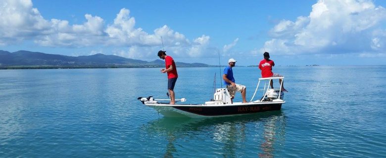 Battle pêche en spinning