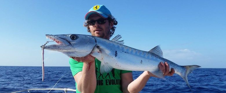 Sortie pêche au large avec les cannes de spining