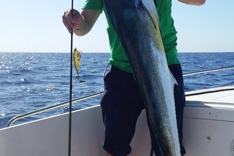 Sortie pêche au large avec les cannes de spining