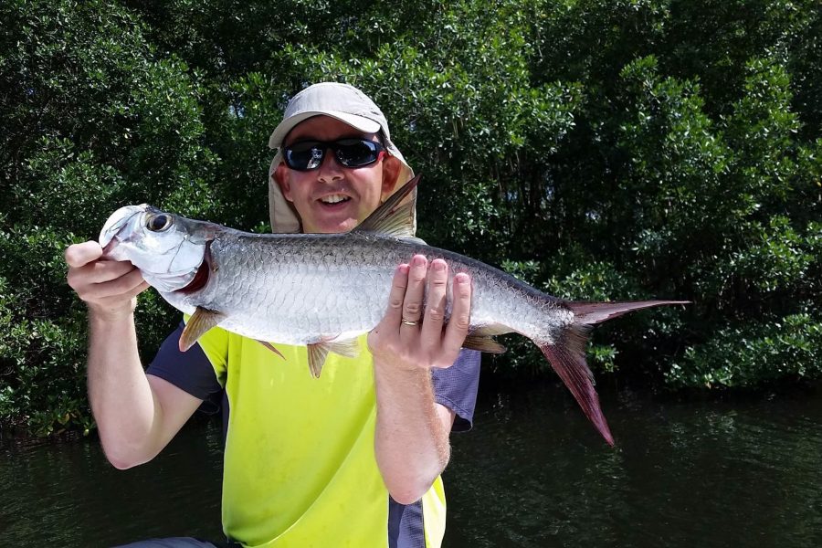 Baby tarpons