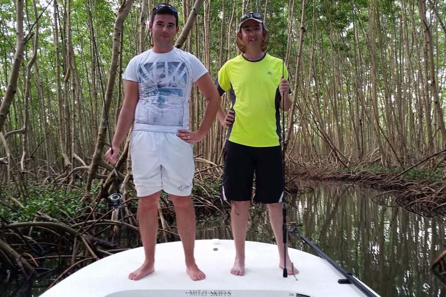 Baby tarpons
