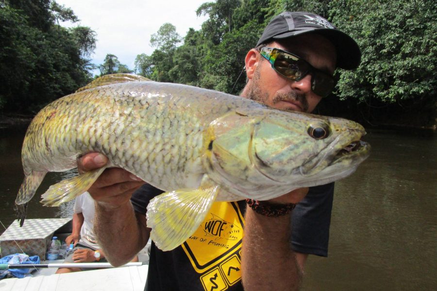 Voyage de pêche en Guyane Francaise 2016
