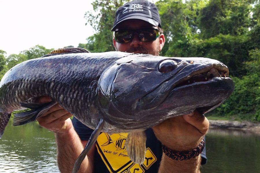 Voyage de pêche en Guyane Francaise 2016