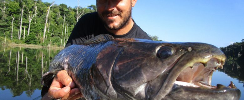 Voyage de pêche en Guyane Francaise 2016