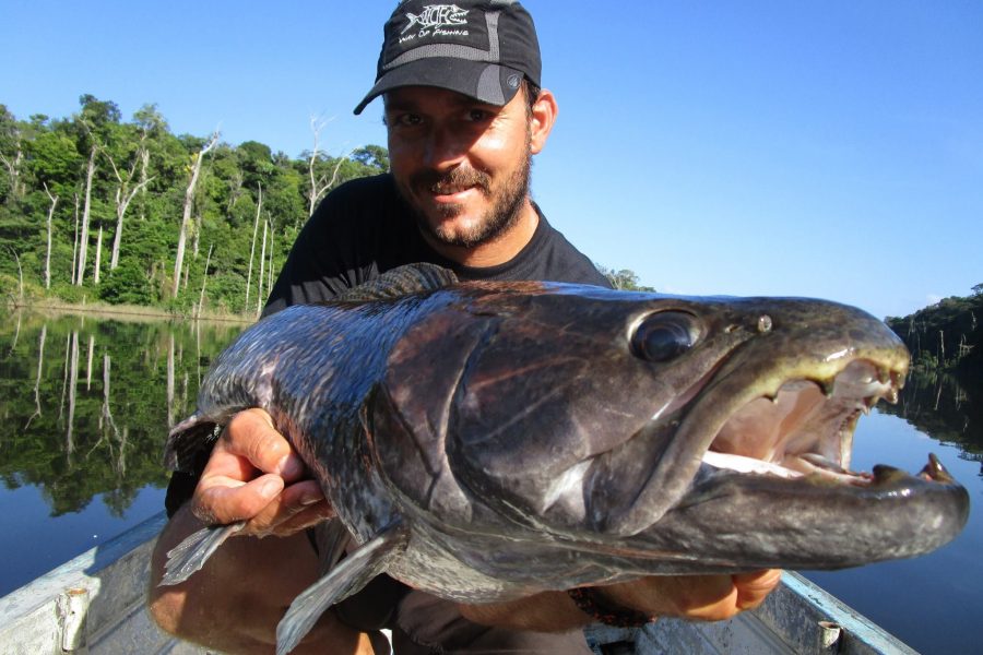 Voyage de pêche en Guyane Francaise 2016