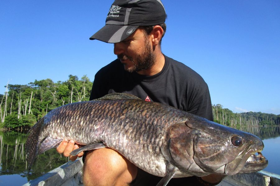 Voyage de pêche en Guyane Francaise 2016