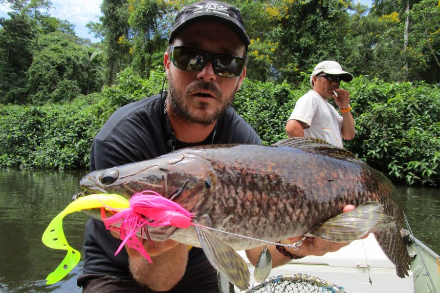 Voyage de pêche en Guyane Francaise 2016