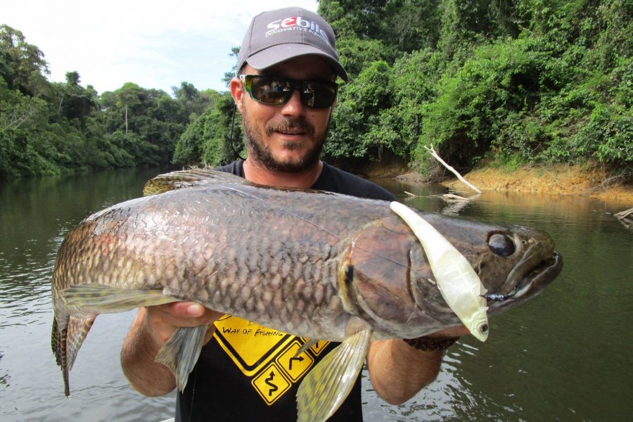 Voyage de pêche en Guyane Francaise 2016