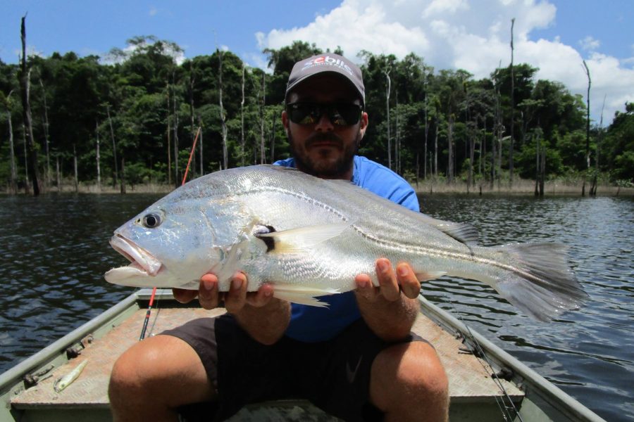 Voyage de pêche en Guyane Francaise 2016