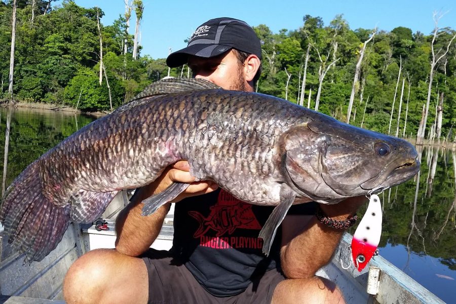 Voyage de pêche en Guyane Francaise 2016