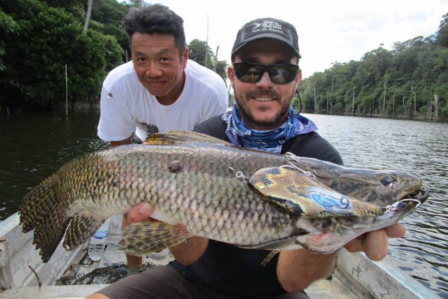 Voyage de pêche en Guyane Francaise 2016