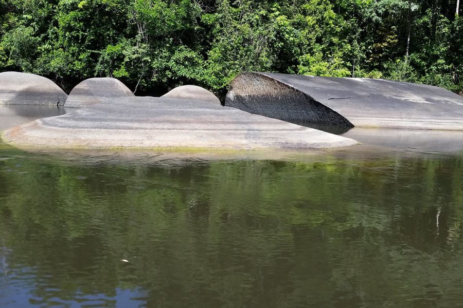 Voyage de pêche en Guyane Francaise 2016