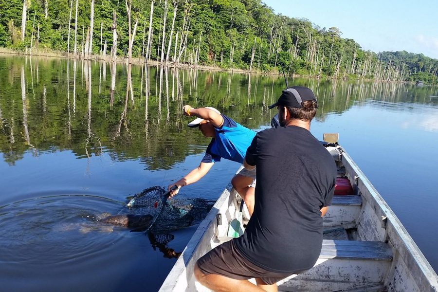 Voyage de pêche en Guyane Francaise 2016