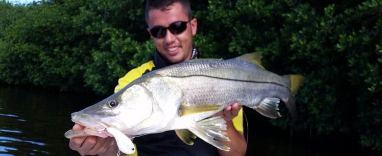 La revanche de Romain