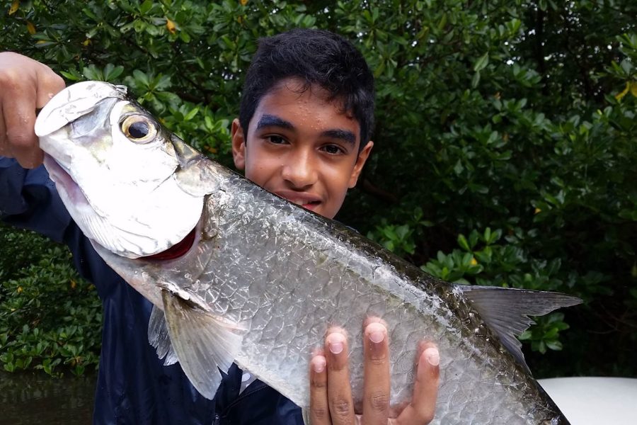 Mission tarpons sous la pluie!!!