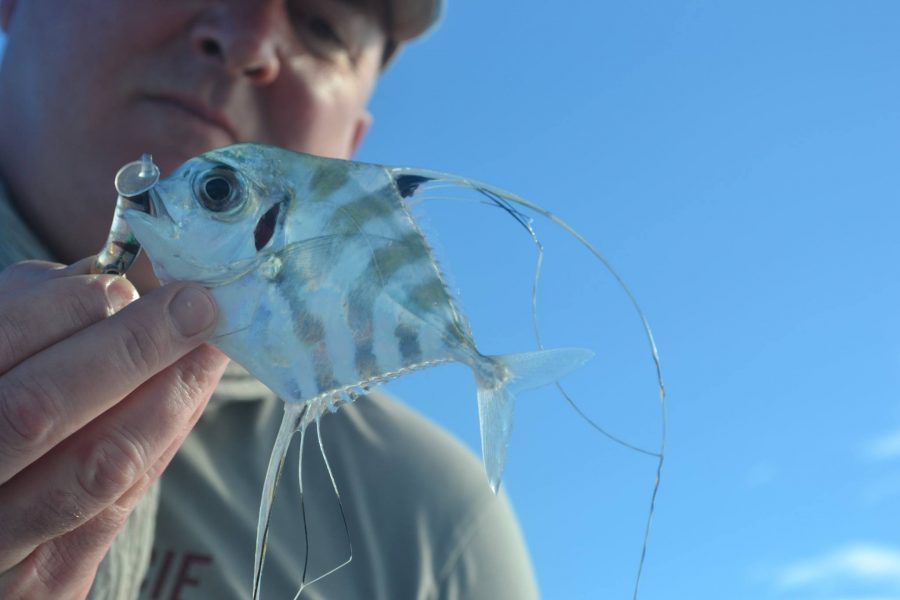 Résumé de pêche avec un couple du Chnord