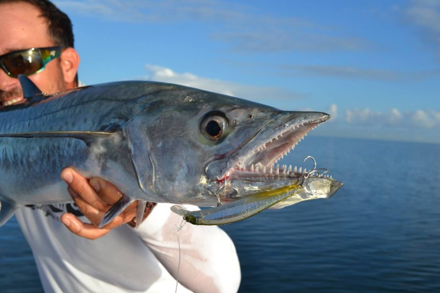 Résumé de pêche avec un couple du Chnord