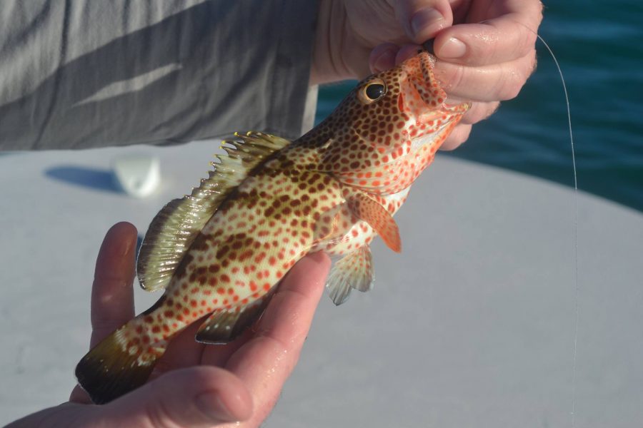 Résumé de pêche avec un couple du Chnord