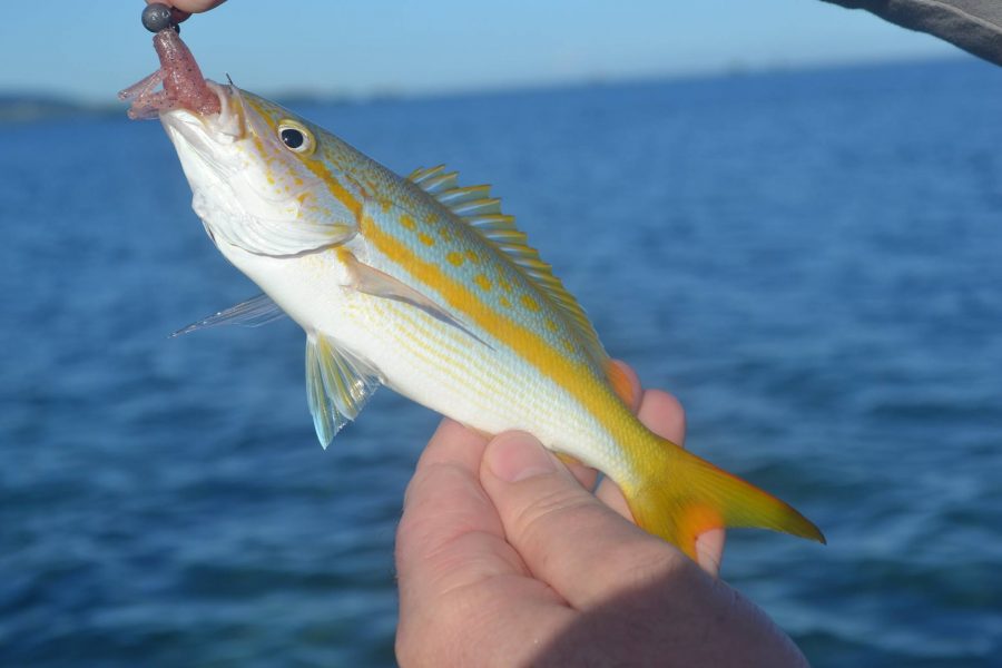 Résumé de pêche avec un couple du Chnord