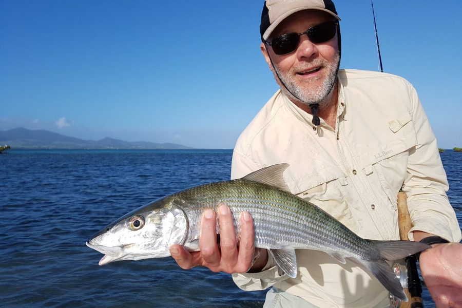 American Week ( 2nd episode ) Bonefish