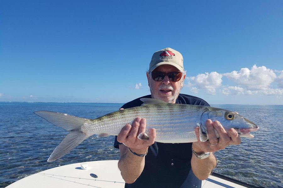 84 bougies « Bonefish time »
