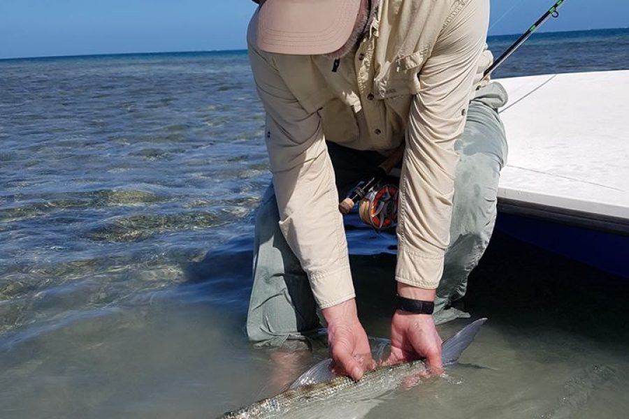 American Week ( 2nd episode ) Bonefish
