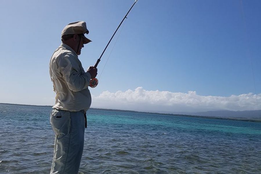 American Week ( 2nd episode ) Bonefish