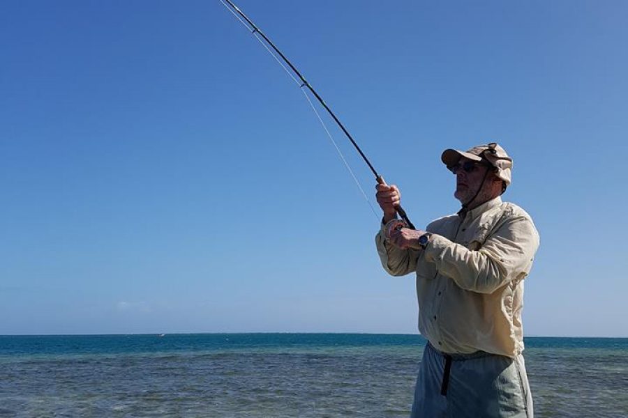 American Week ( 2nd episode ) Bonefish
