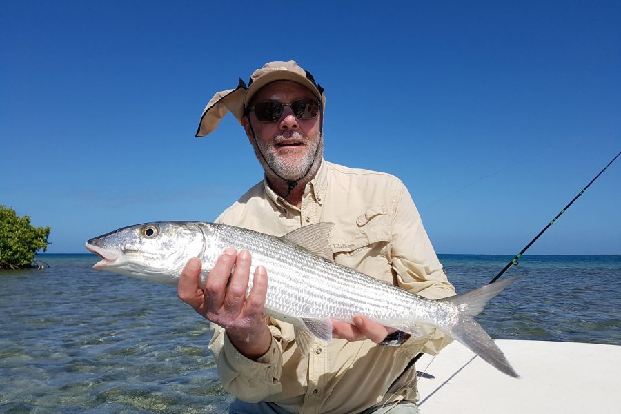 American Week ( 2nd episode ) Bonefish