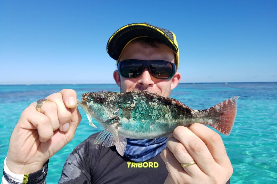 Pas besoin d’être « moucheur » pour en découdre avec un BONEFISH