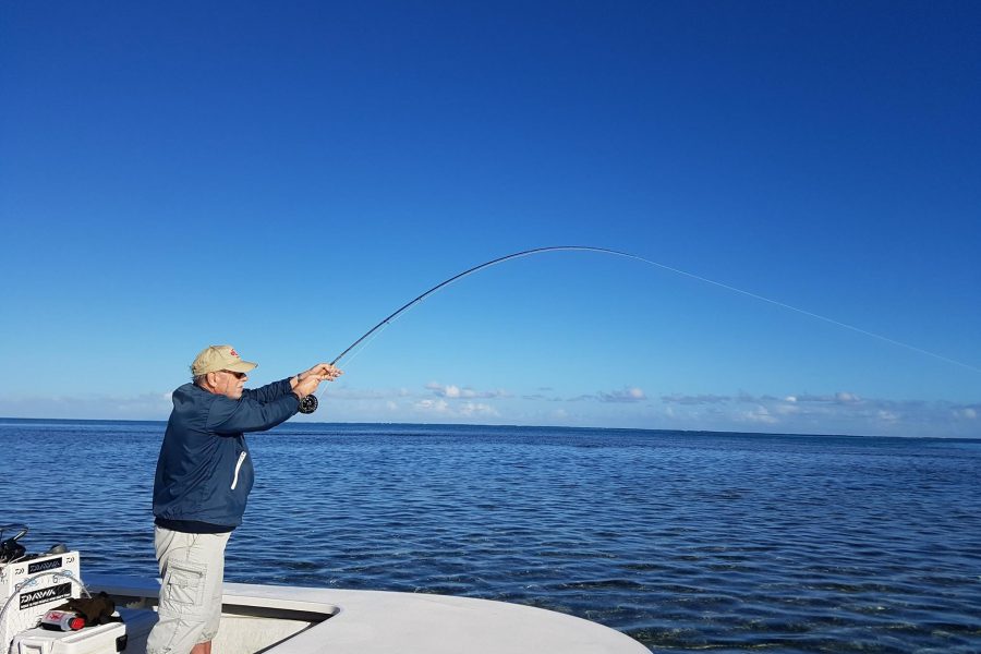 84 bougies « Bonefish time »