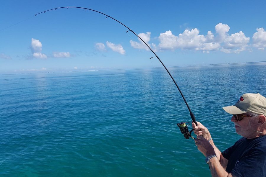 84 bougies « Bonefish time »