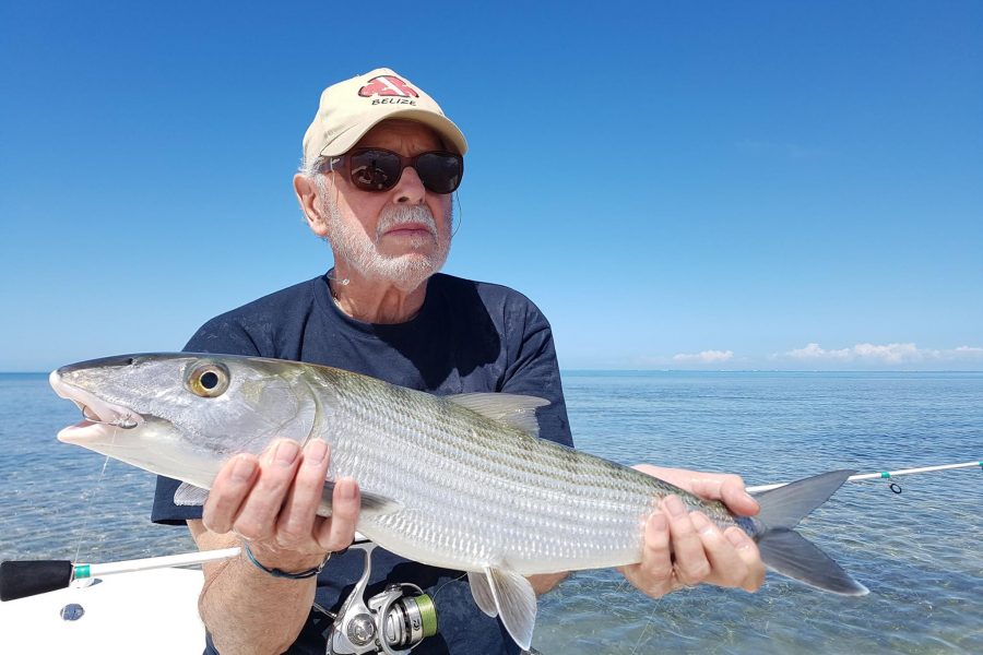 84 bougies « Bonefish time »
