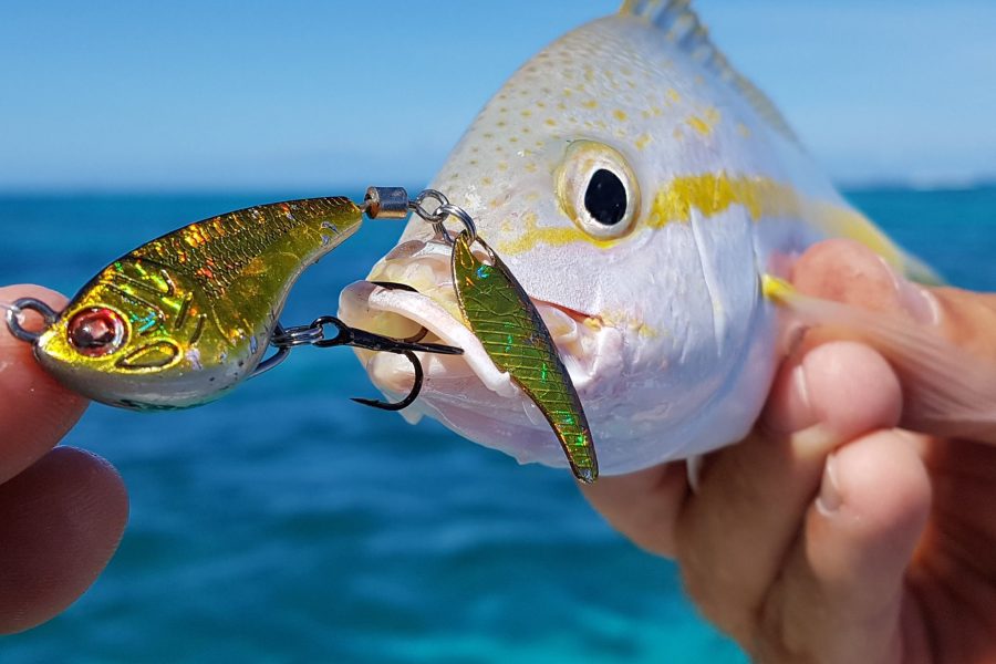 Une fin de semaine comme on les aime en Guadeloupe