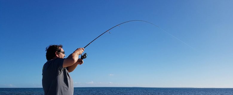 Franky goes to Bonefish Land