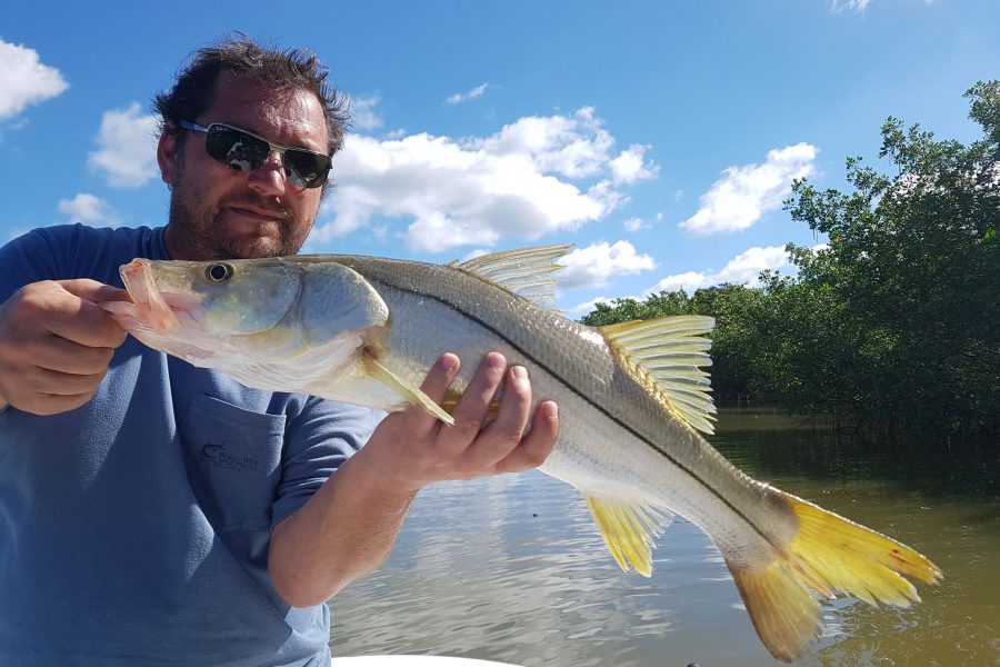 Snook en vue !!