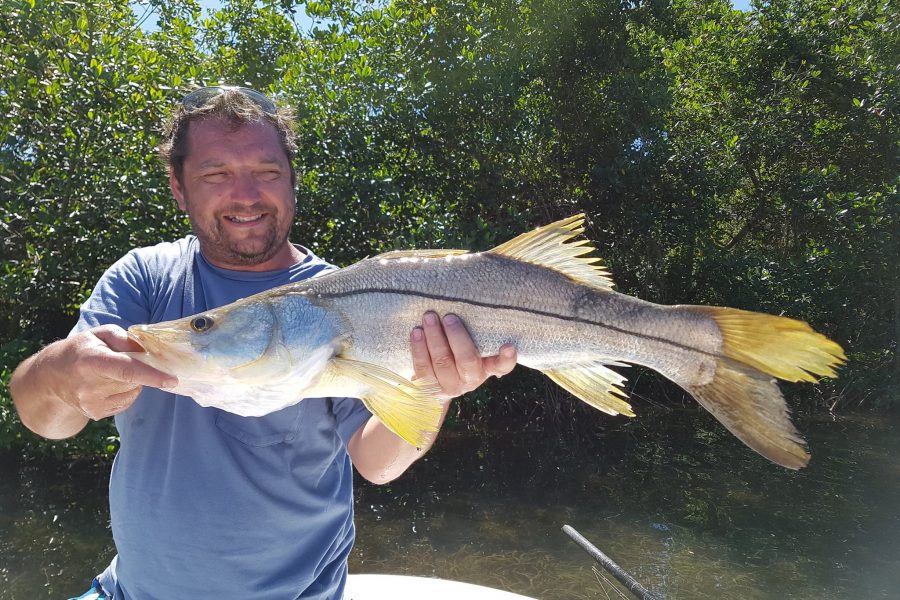 Snook en vue !!