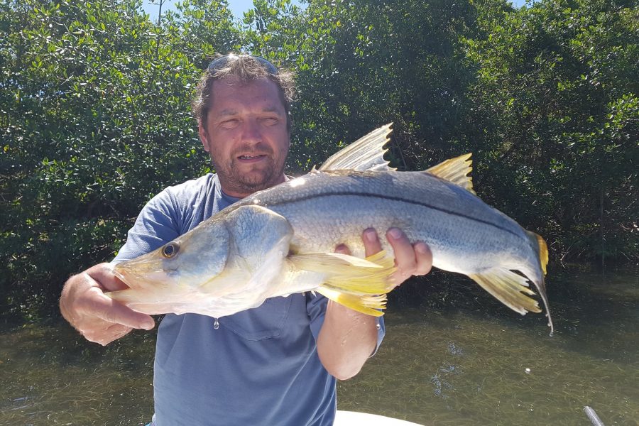 Snook en vue !!