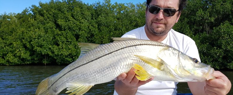 Franky Goes to Guadeloupe