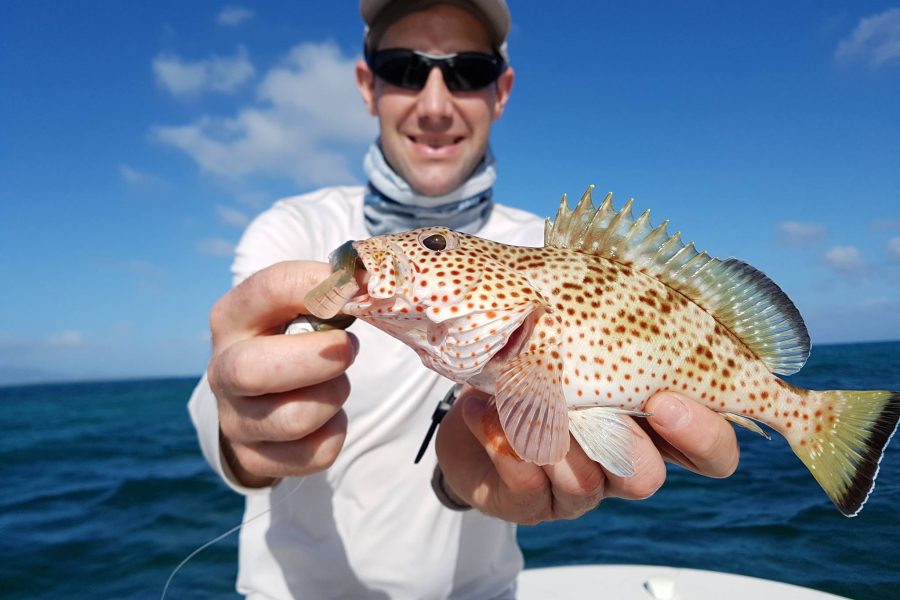 Les sorties pêche dans le vent #1