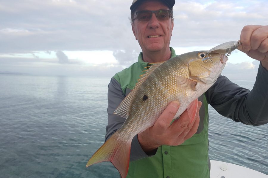 Les sorties de pêche dans le vent !