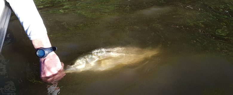 Les sorties pêche dans le vent #1