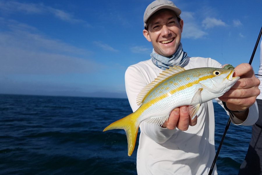 Les sorties pêche dans le vent #1