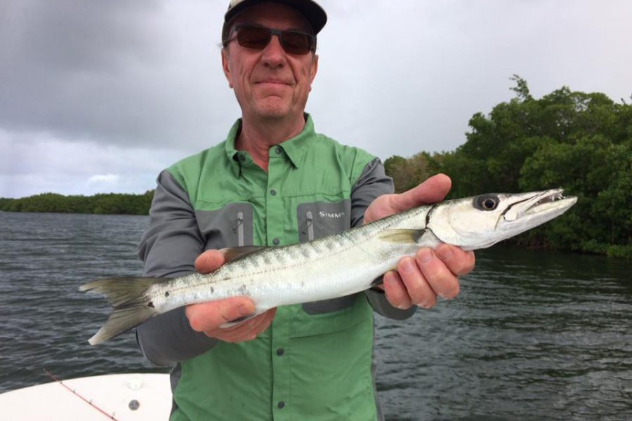 Les sorties de pêche dans le vent !