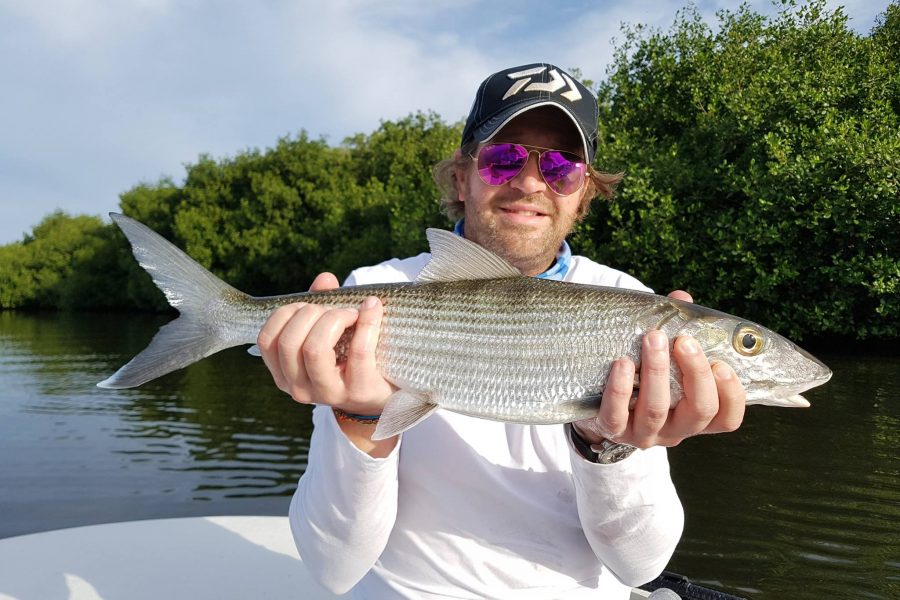 Bonefish de mangrove