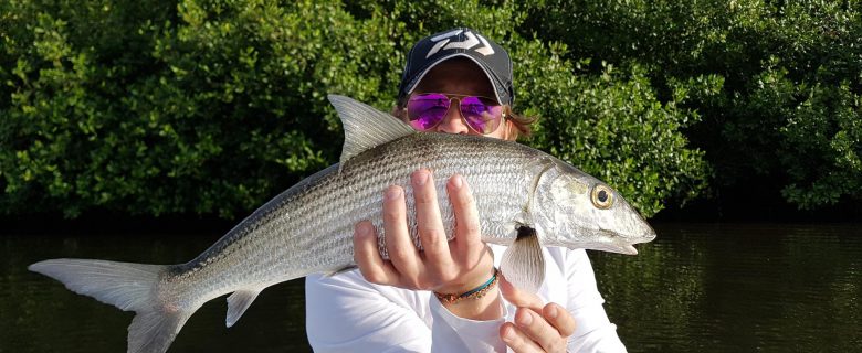 Bonefish de mangrove