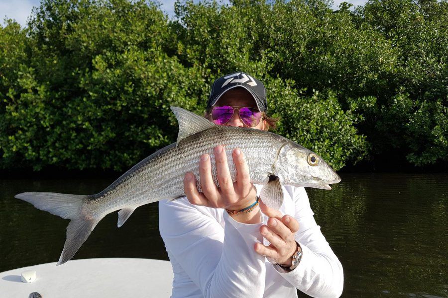 Bonefish de mangrove