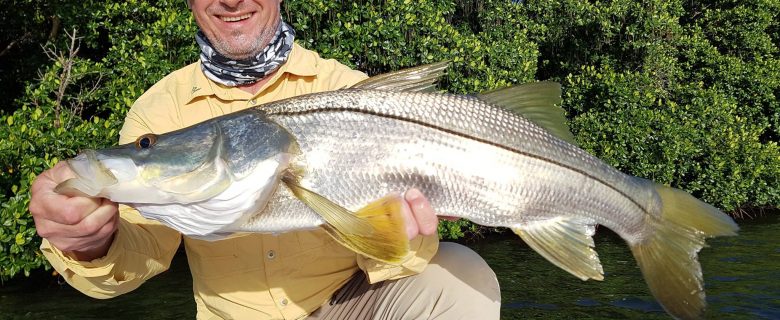 Pêche du Snook dans la mangrove