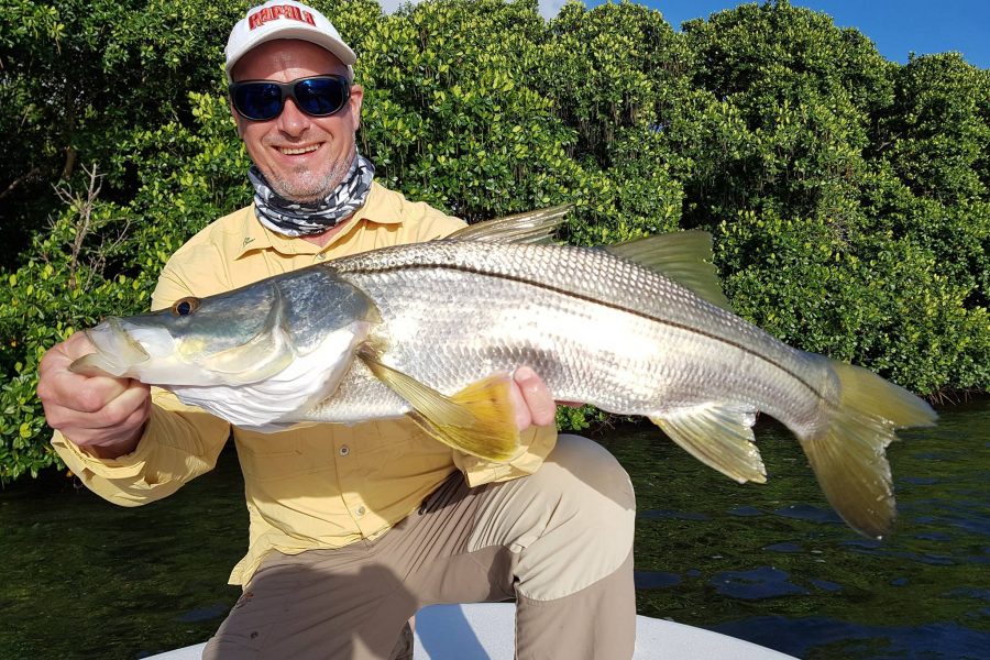 Pêche du Snook dans la mangrove